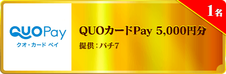 QUOカードPay 5,000円分