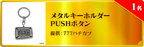 メタルキーホルダー PUSHボタン