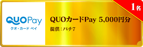 QUOカードPay 5,000円分
