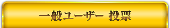 一般ユーザー 投票